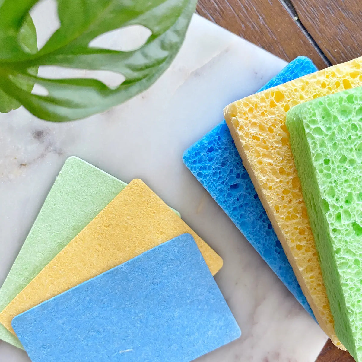 Pop Up Sponges (pack of 3) – The Green Tap