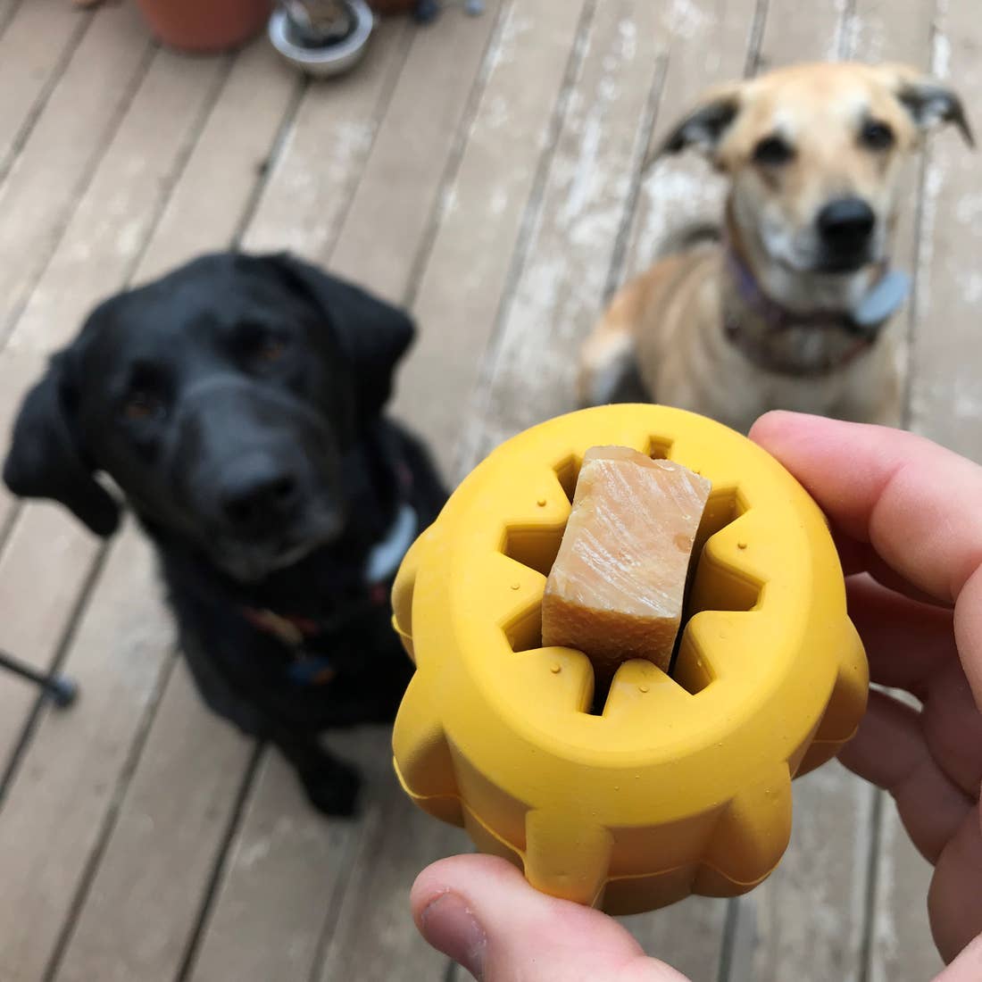 ID Gear- Treat Pocket Dog Chew Toy