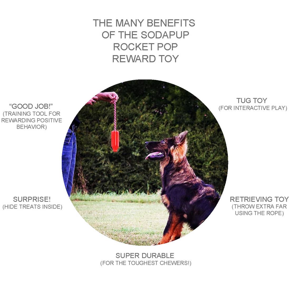 Rocket Pop- Reward Dog Chew Toy- Large